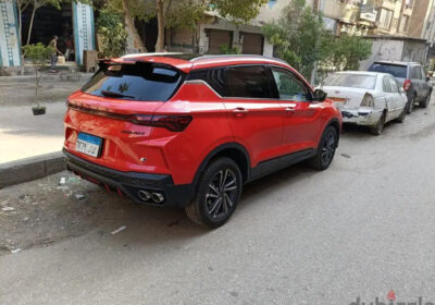 150861566-800×600-1